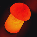 Himalaya Salzlampe - Pilz